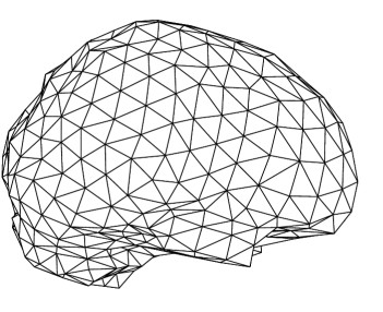 triangulated brain mesh